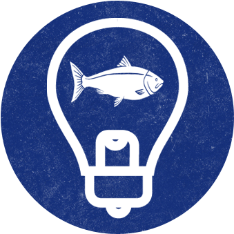 How Does Real Good Fish Implement These Values - Creativity (378x378), Png Download