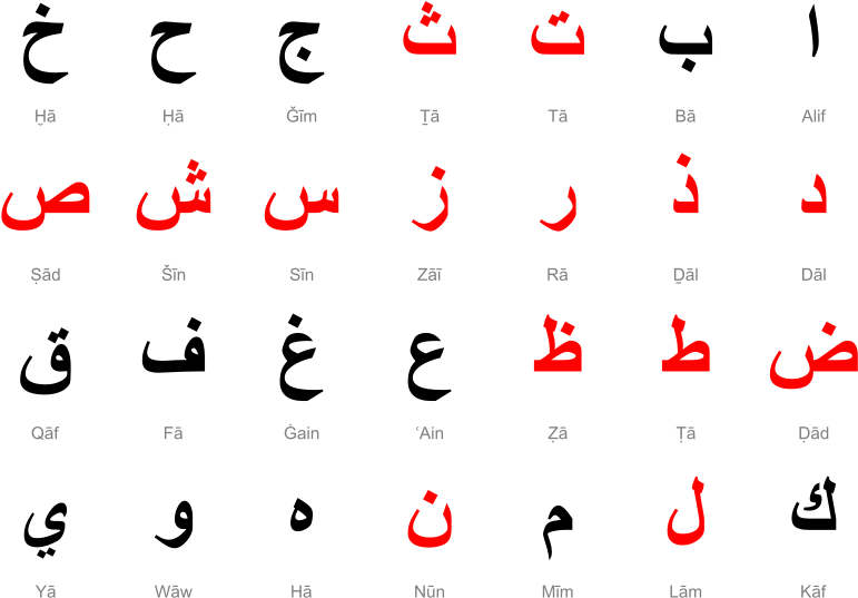 Want To Hear More Sign Up For One Of Our Newsletters - Arabic Alphabet (800x554), Png Download