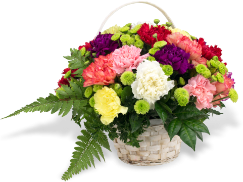 New Carnation Basket - Basket (480x480), Png Download