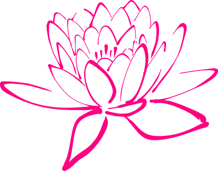 Flower Pink Blossom Pegals Lotus Lotus Lot - Fleur Lotus Png (432x340), Png Download
