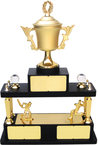Mt 3370 Metal Cricket Trophy - Cricket World Cup Trophy (338x500), Png Download