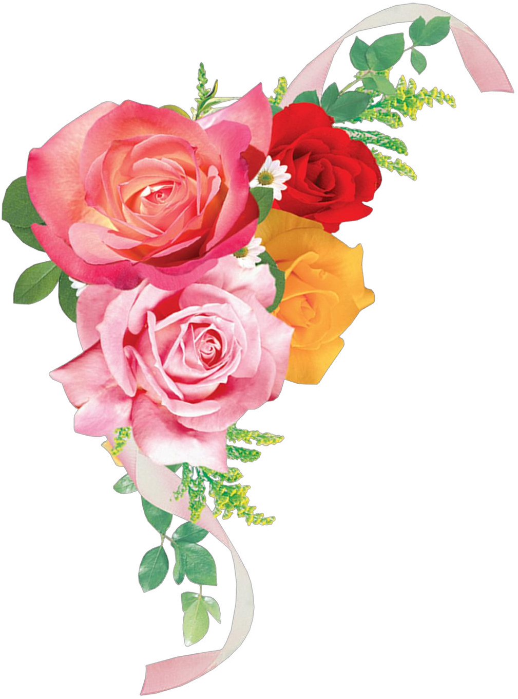 Photoshop Clipart Png - Wallpaper (1050x1500), Png Download