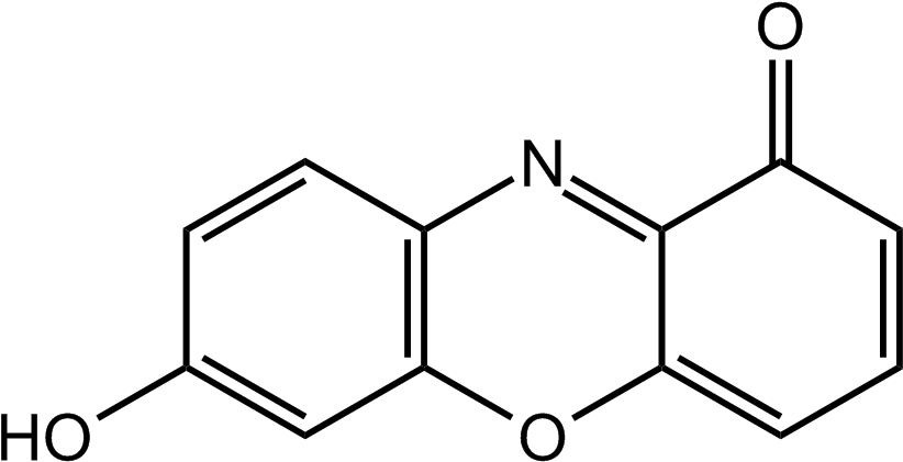 Neutral 7-hydroxyphenoxazone - Paper Chemical Structure (842x441), Png Download