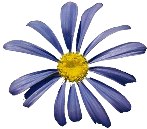 Photoshop Clipart Png - Hero Honda Karizma R (600x600), Png Download