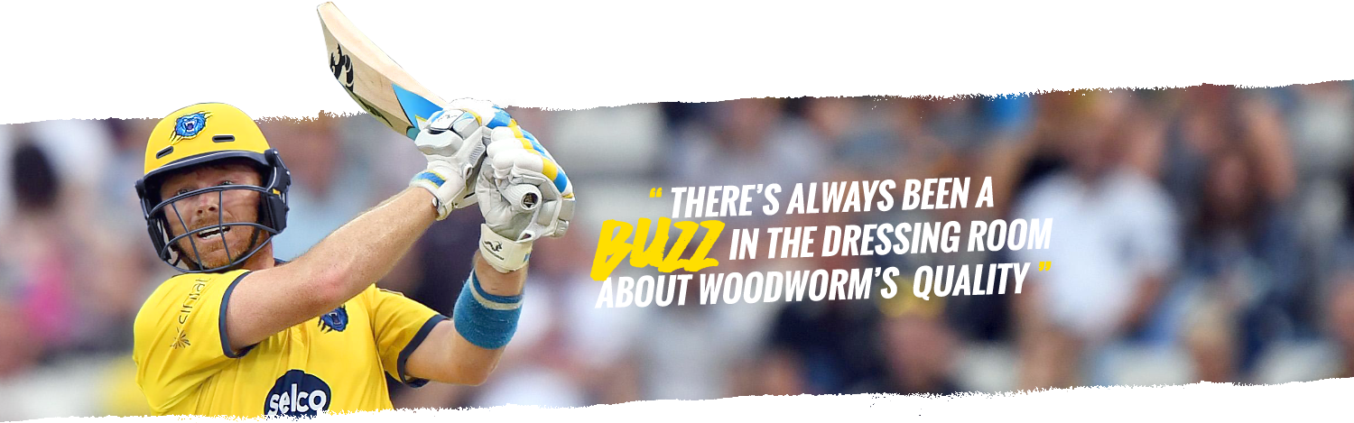 Woodworm Cricket Ib 625 Cricket Bat - Fishing Reel (1500x469), Png Download