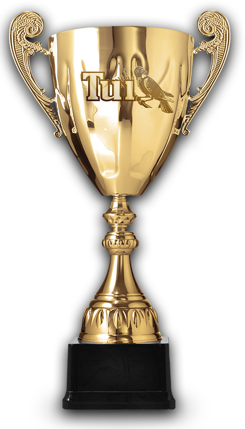 Leaderboard - Trophy On White Background (492x860), Png Download