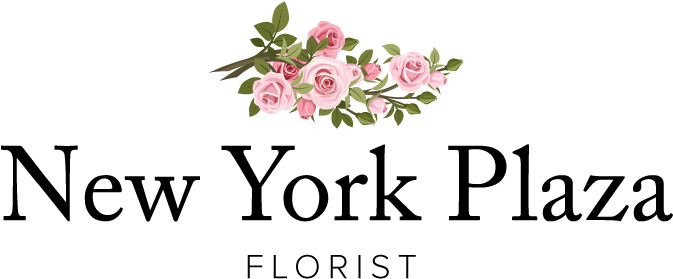 New York Plaza Florist - New Day (800x400), Png Download