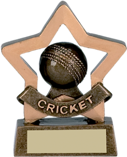 Trophies Mini Star Cricket Trophy | 82 Mm | G2 (464x348), Png Download