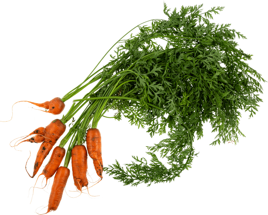 Wonky Carrot - Carrot (873x700), Png Download