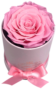 This Beautiful Preserved Rose Will Last More Than A - Garden Roses (498x664), Png Download