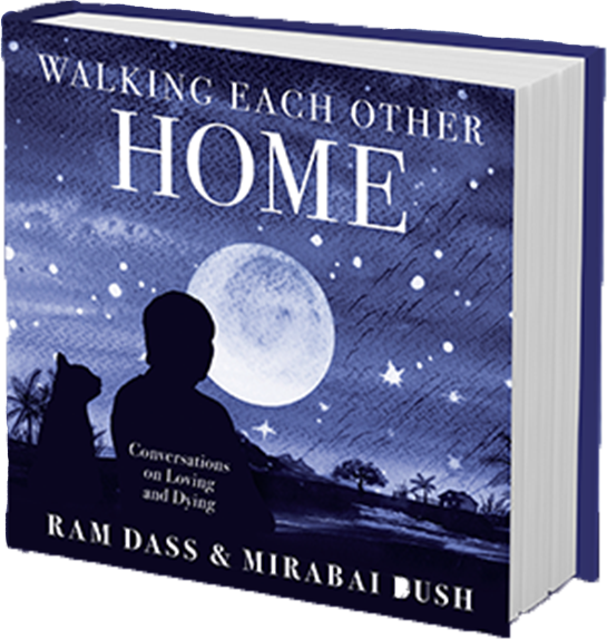 Walking Each Other Home - Walking Each Other Home Mirabai Bush (545x574), Png Download
