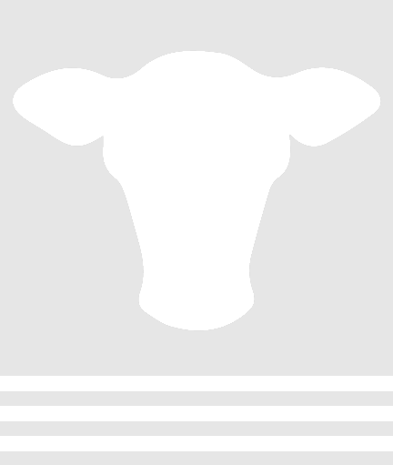 Tool (432x511), Png Download