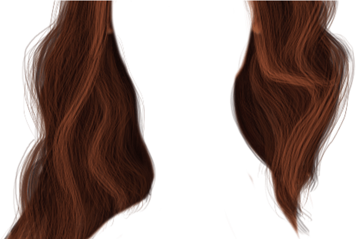 Women Hair Png - Portable Network Graphics (800x491), Png Download