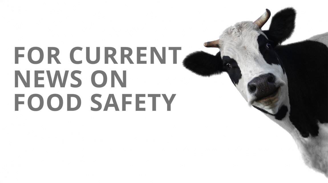 Cowbg Previous - Cow Head Transparent Background (1150x641), Png Download