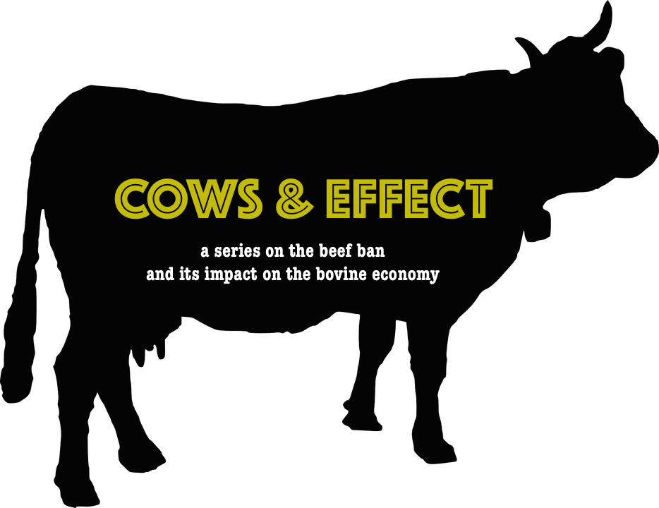 But, While The Vhp And Other Organisations May Have - Cow Silhouette Png (934x720), Png Download