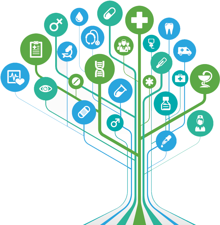 About Doctor Referred - Health Information Exchange Medical Center (1000x836), Png Download