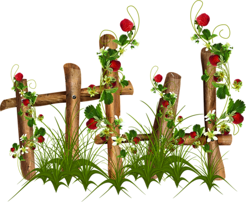 Fences - Fence (500x410), Png Download