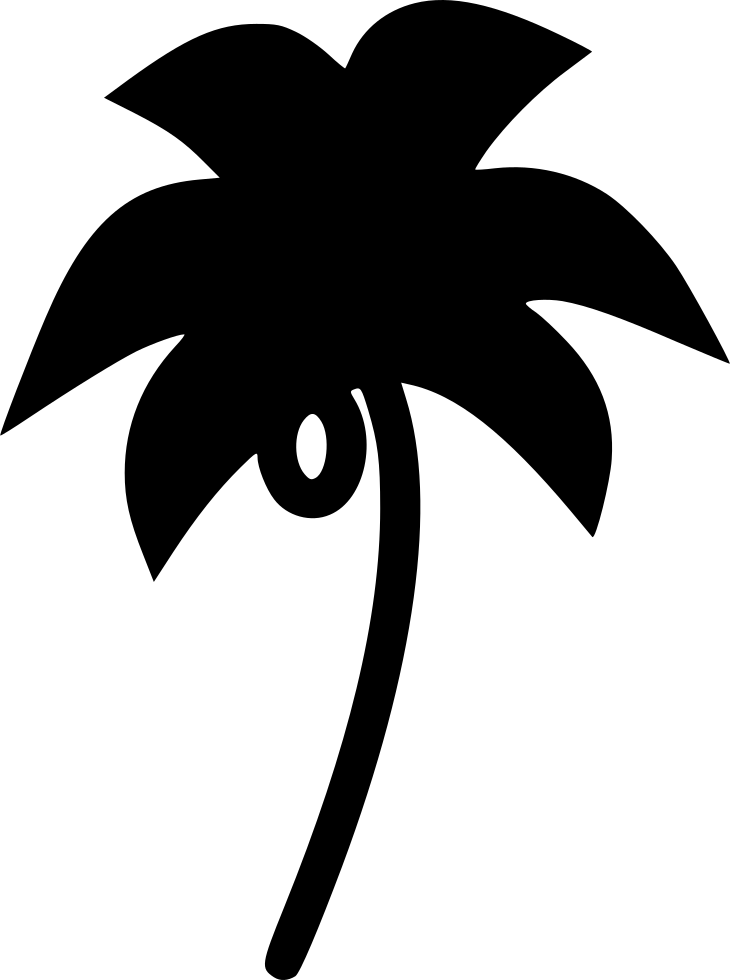 Coconut Trees - - Mobile App (730x980), Png Download