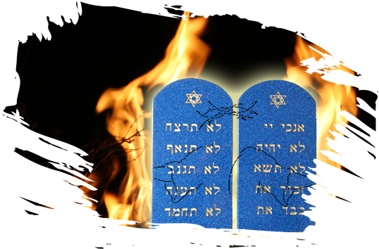 A Whole Bible - God (640x360), Png Download