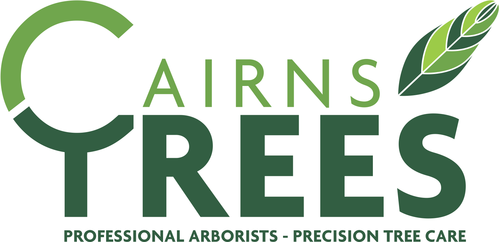 Cairns Trees - Sign (500x282), Png Download