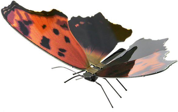 Metal Earth Butterflies - Fascinations Metal Earth Butterflies 3d Metal Model (600x600), Png Download