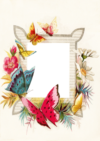 Butterfly With Flower Frames Png (429x600), Png Download