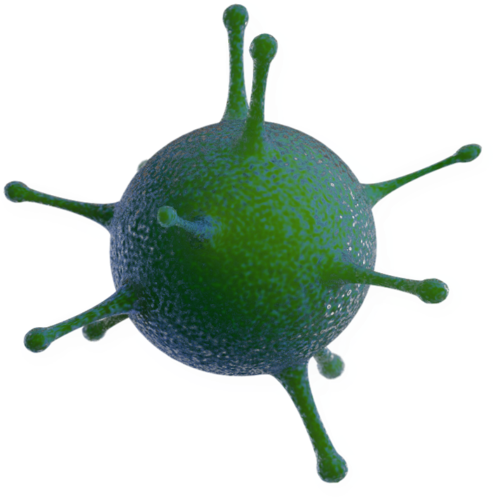 Heading - Animation Studio (725x784), Png Download