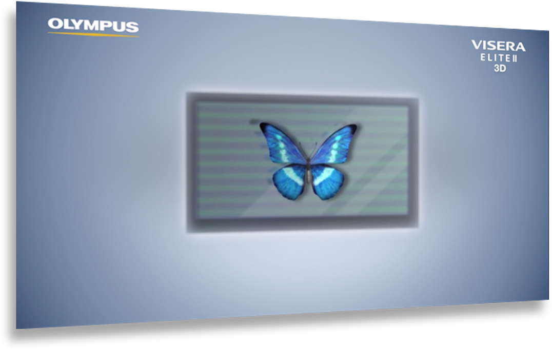 Lycaenid (1140x950), Png Download