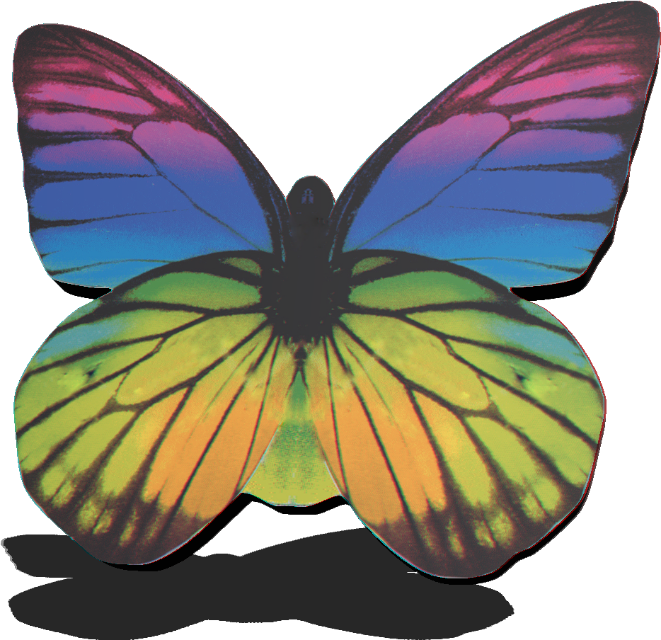 Your Divine Pathway - Adult Monarch Butterfly (1200x1050), Png Download