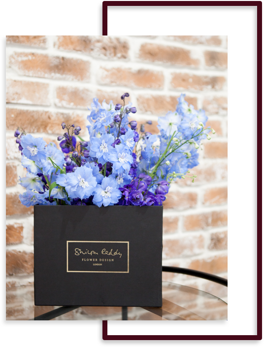 Shaking It Up - London (536x704), Png Download