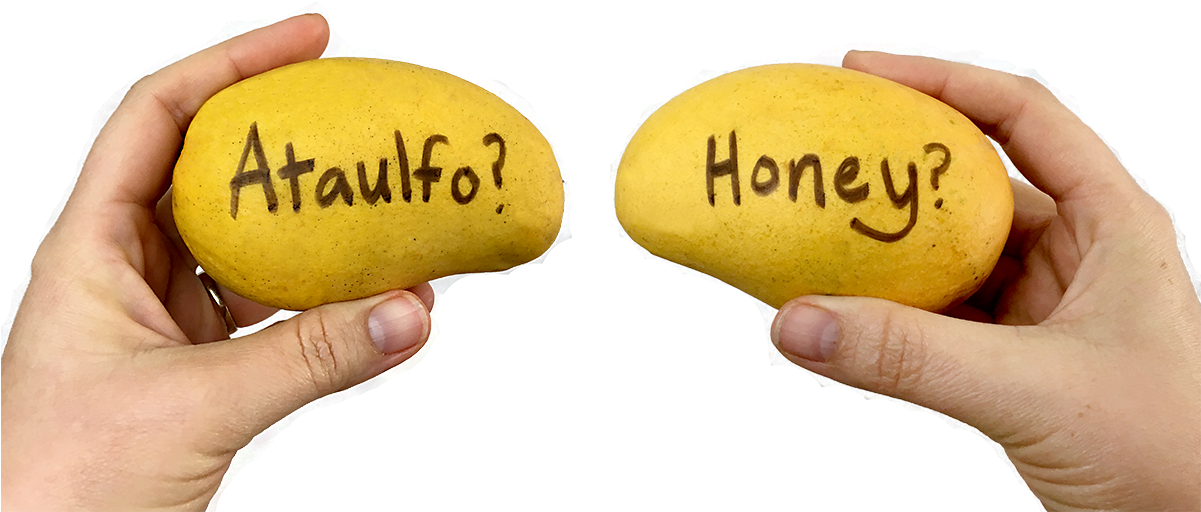 Kiwifruit (1200x625), Png Download