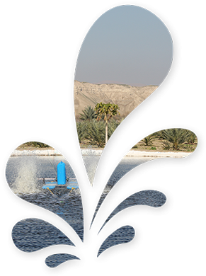 “jordan River Dates”, A Leading Family Owned Agricultural - Sorting Algorithm (320x400), Png Download