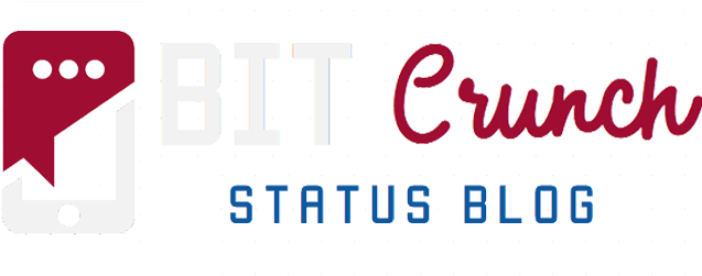 Whatsapp Status Bitcrunch Logo - Whatsapp (646x250), Png Download
