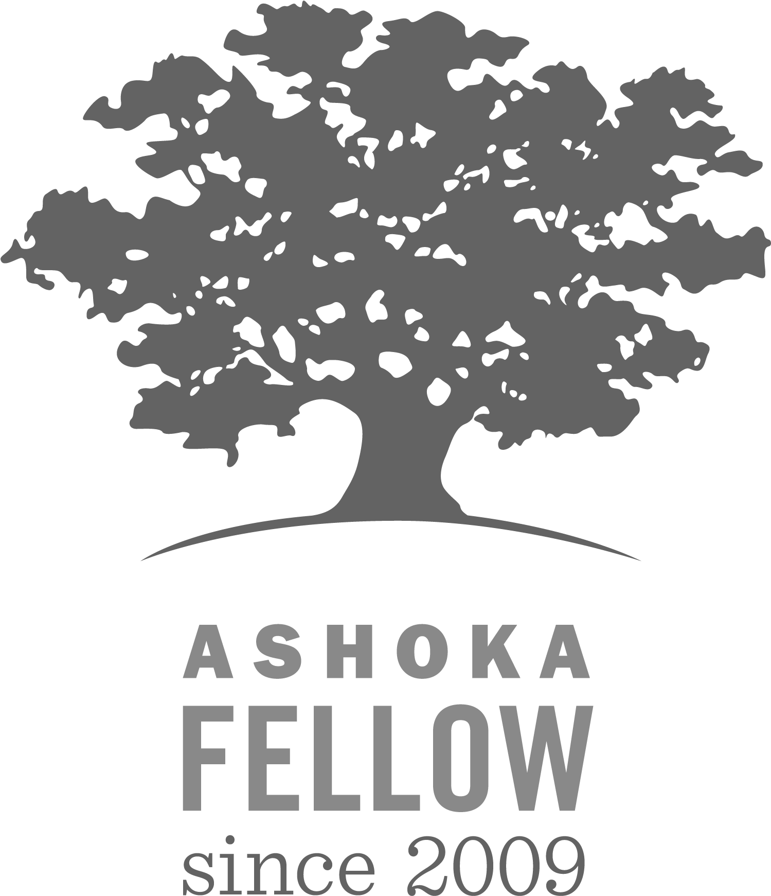 We Belong To Ashoka An Organisation Focusing On Innovators - Ashoka Org (1535x1772), Png Download