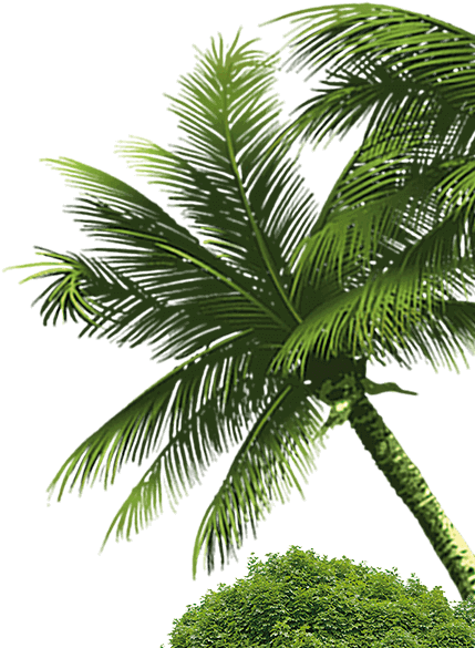 Terra Mítica (525x605), Png Download