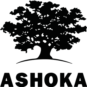 Partners - Ashoka Social Entrepreneurship (544x568), Png Download