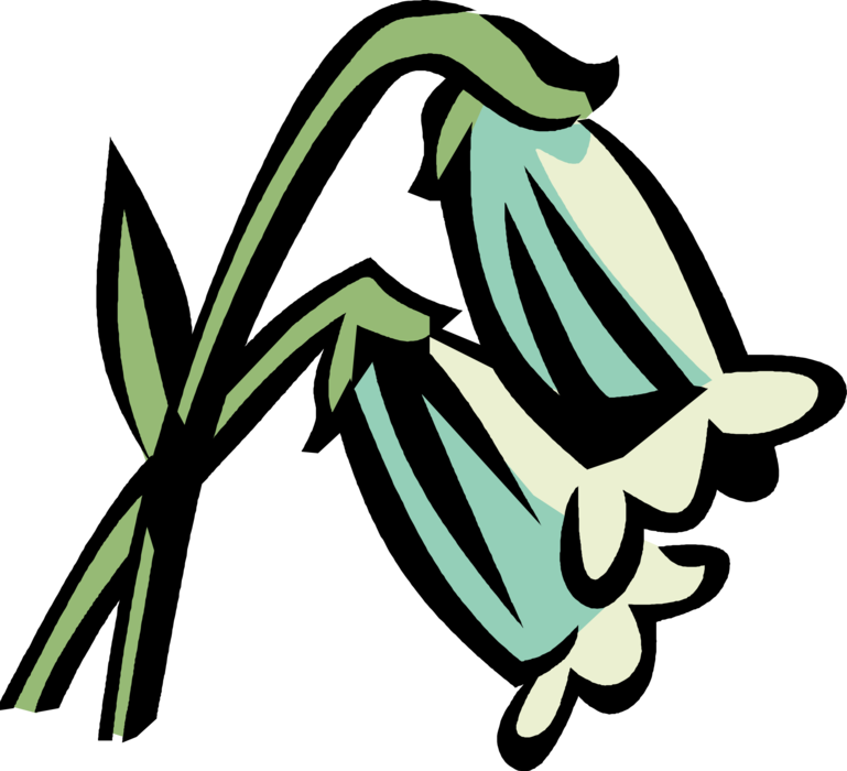 Vector Illustration Of Pieris Temple Bells Botanical - Clip Art (769x700), Png Download