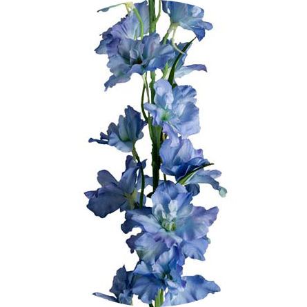 Delphinium 90 Cm - Canterbury Bells (445x445), Png Download