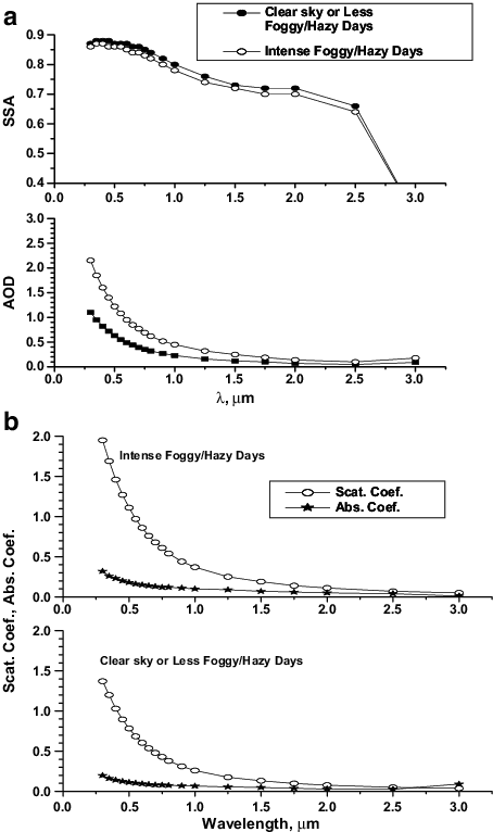 A Spectral Variation Of Ssa And Aod At Agra During - Common Fig (454x766), Png Download