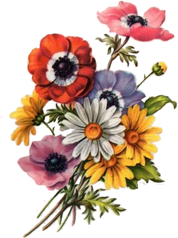 Flower 65 - Tubes Fille Tient Une Fleur (375x500), Png Download