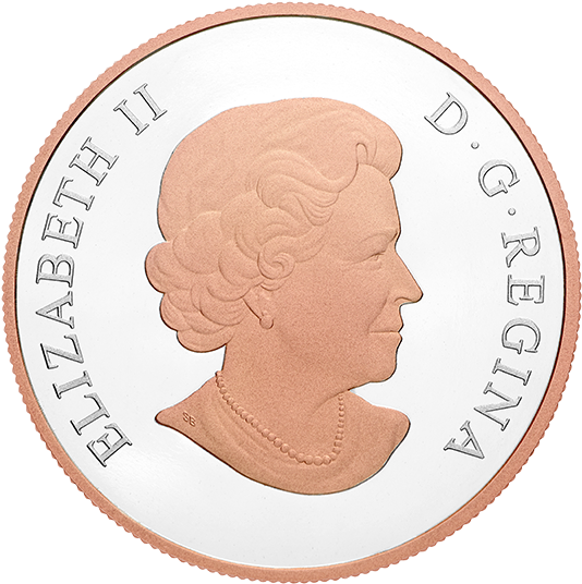 *best Wishes On Your Wedding Day - Silver Coin (570x570), Png Download