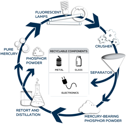 The Recycling Process Of A Mercury-containing Bulb - Light Bulb Recycling Process (480x480), Png Download