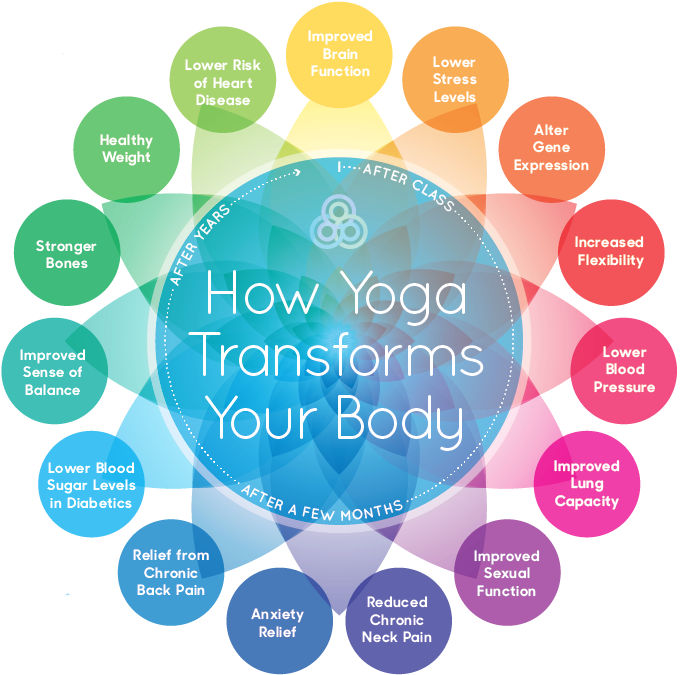 Yoga Is Non-competitive And Adaptable To Every Shape, - Yoga Transforms Your Body (713x694), Png Download