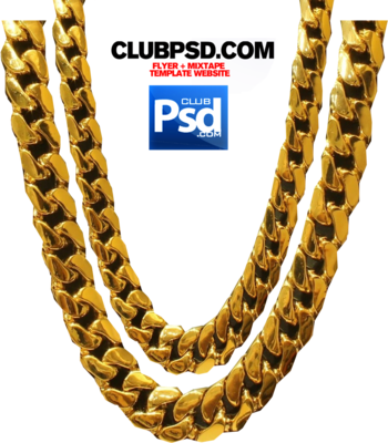 Gold Rope Chain Png - Panda With A Chain (350x400), Png Download