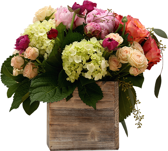 Shop Now - Hydrangea (780x900), Png Download