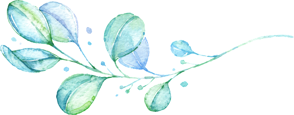 Elegant And Creative Watercolor Branches Transparent - Portable Network Graphics (1024x400), Png Download