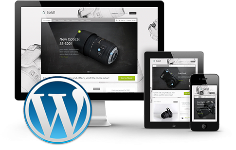 Website Design - Wordpress Icon (500x380), Png Download