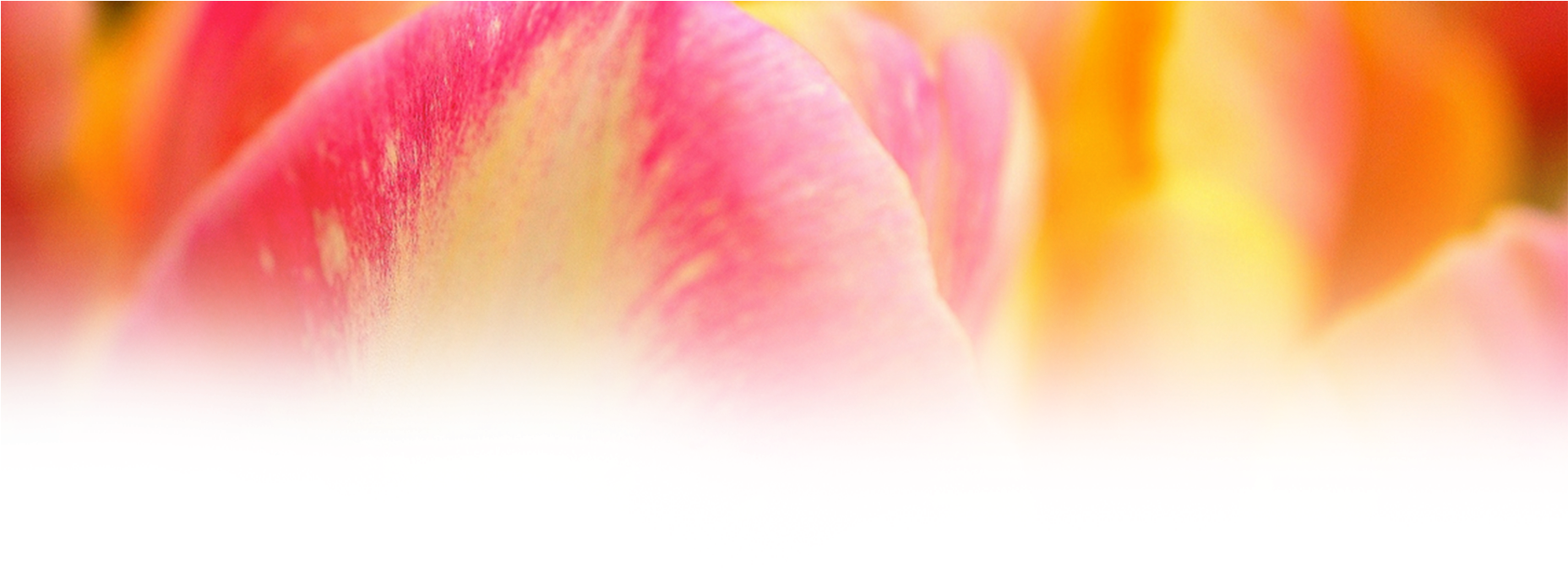 Check Out All Of The Amazing Rewards In Our Webshop Reward Background Png Full Size Png Download Seekpng