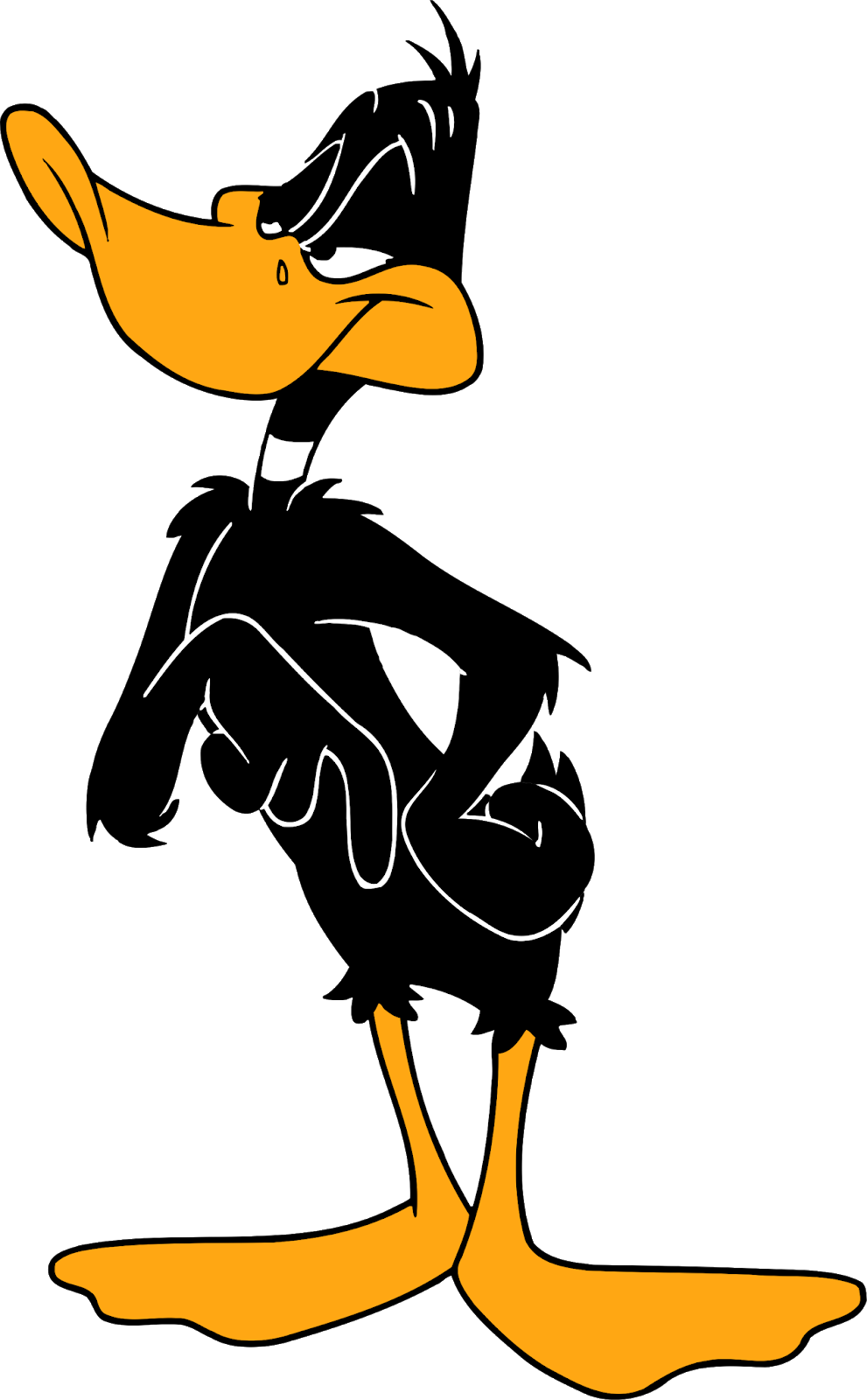 Daffy Duck Cartoon Character, Daffy Duck Characters, - Daffy Duck Clipart (991x1600), Png Download