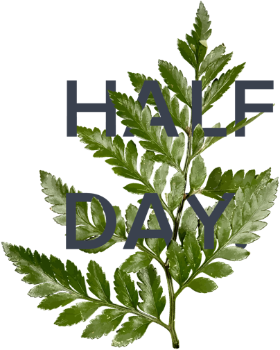 Plant A Seed - Pahari Pudina (404x504), Png Download